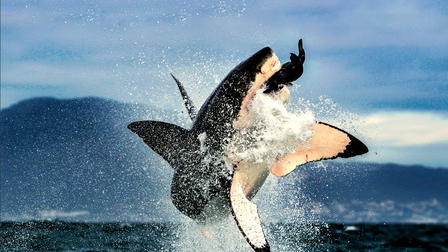 Air Jaws