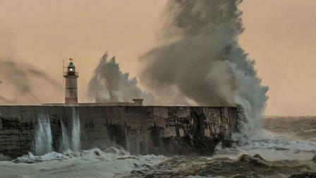 Discovered By Disaster