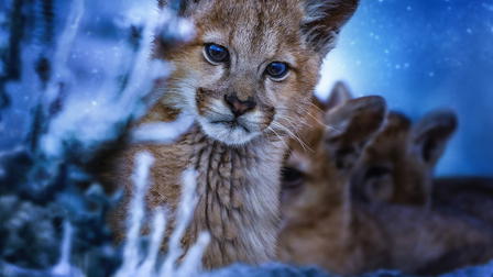 Il pianeta notturno a colori