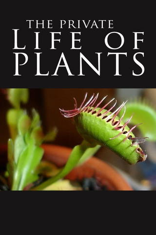 The Private Life of Plants