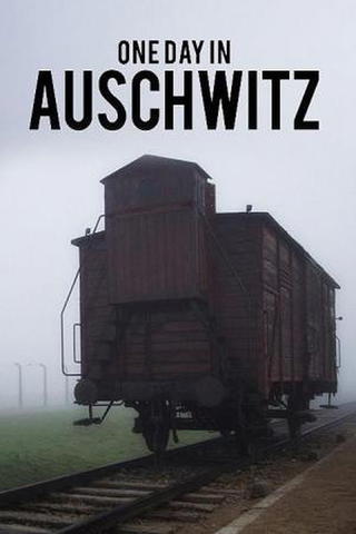 Auschwitz - One Day