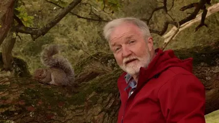 Oak Tree: Nature's Greatest Survivor