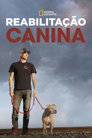 Reabilitação Canina