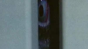 Shudder
