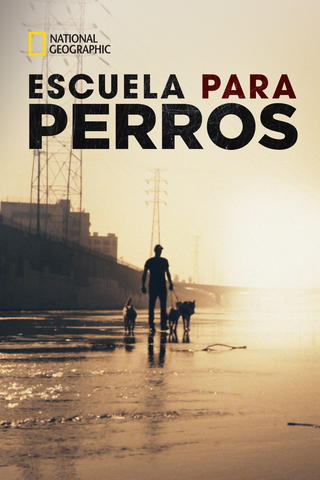 Escuela para perros