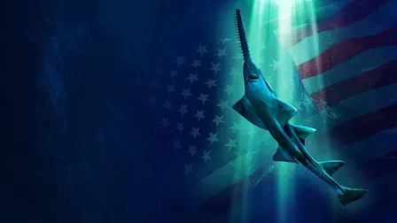 Alien Sharks: Untamed America