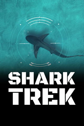 Shark Trek