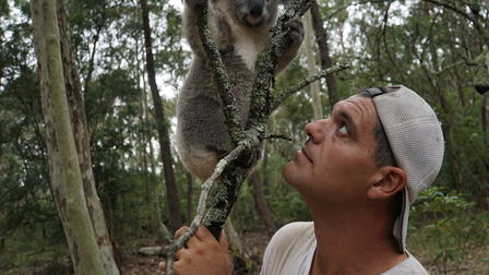 Wild Frank In Australia