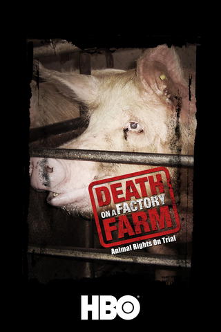 Death on a Factory Farm