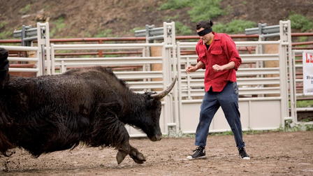 Jackass Number Two