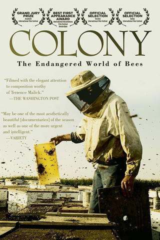 Colony