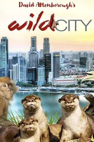 David Attenborough's Wild City