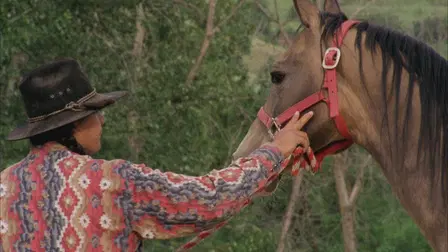 Horse Tribe