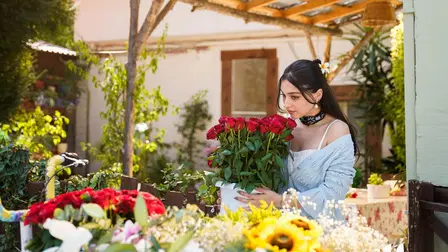 Sins and Roses