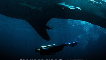 Swimming With Monsters: Steve Backshall