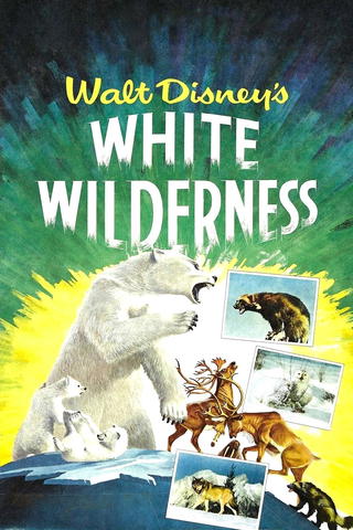 Weiße Wildnis