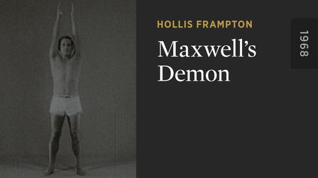 Maxwell's Demon