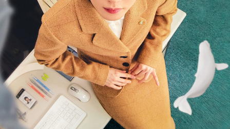Extraordinary Attorney Woo