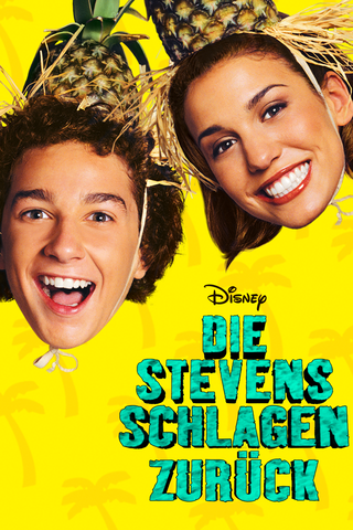 Die Stevens schlagen zurück