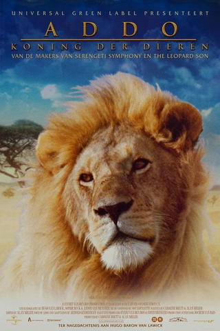 Addo The African King