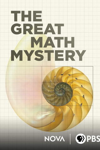 NOVA: The Great Math Mystery