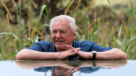 Jorden runt med Attenborough
