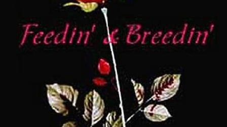 Dark Rose: Feedin' & Breedin'