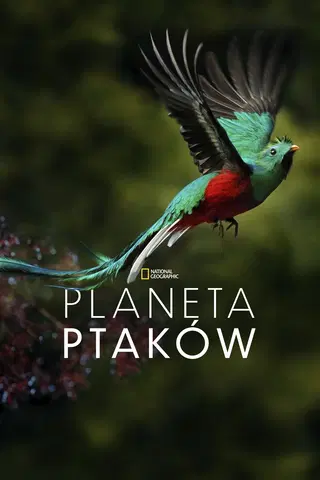 Planeta ptaków