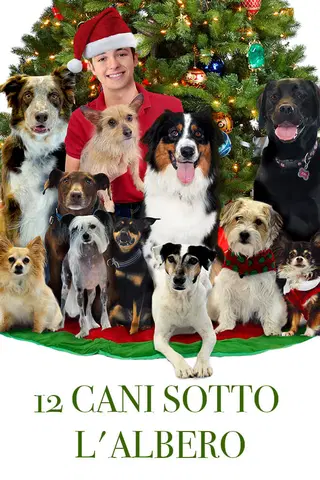 12 cani sotto l'albero