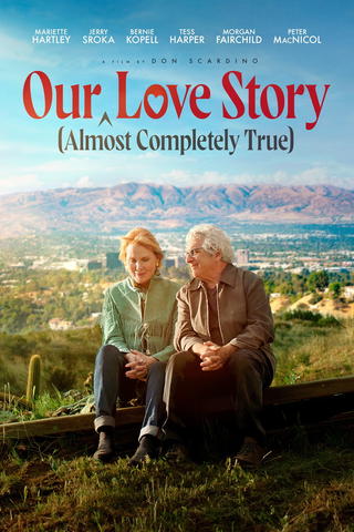 Our (almost completely true) Love Story