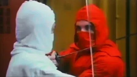 Ninja il guerriero bionico