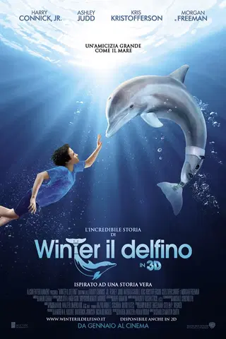 L'incredibile storia di Winter il delfino