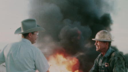 O Efeito Casa Branca