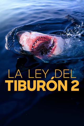 Tiburones: aguas peligrosas