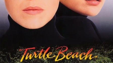 Turtle Beach