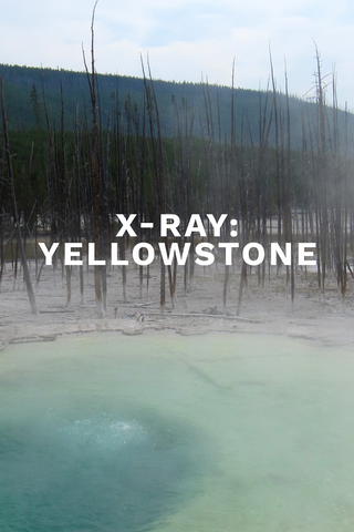 X-Ray: Yellowstone