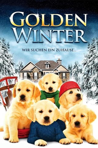 Golden Winter - Wir suchen ein Zuhause