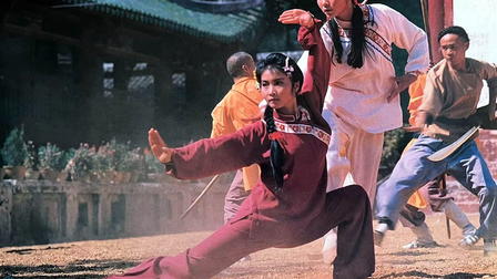 The South Shaolin Master