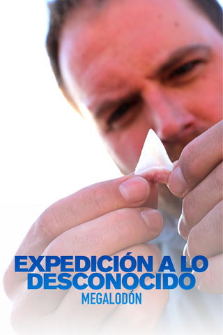 Expedición al pasado