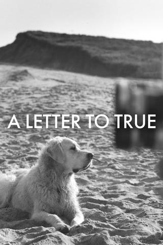 A Letter to True