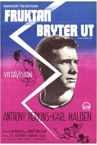 Fruktan bryter ut