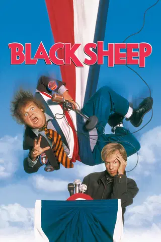 Black Sheep