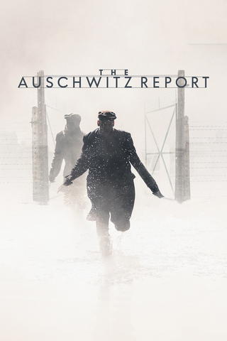 The Auschwitz report