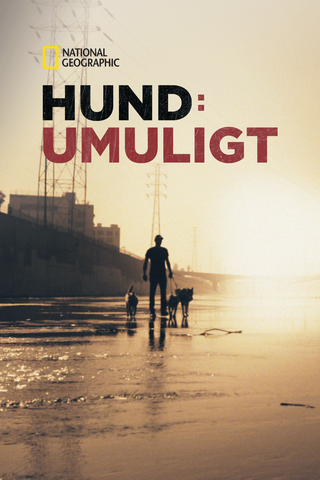 Hund: Umuligt