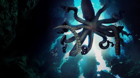 MonsterQuest: Predators of the Deep