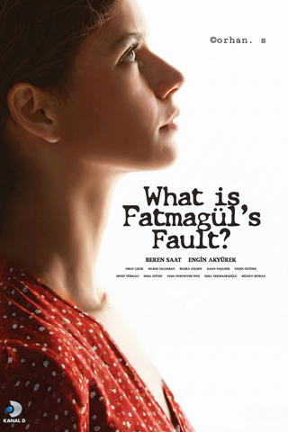 What is Fatmagul's Fault?