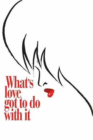 Tina Whats Love Got to Do with It