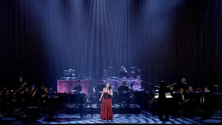 Evanescence - Synthesis Live