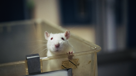 Future Science - The End of Animal Testing?