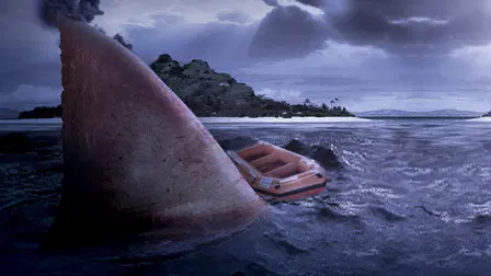 Shark Attack in the Mediterranean